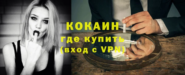 mdpv Вяземский