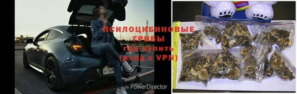 mdpv Вяземский