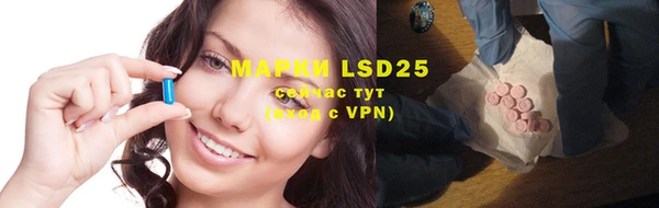 mdpv Вяземский