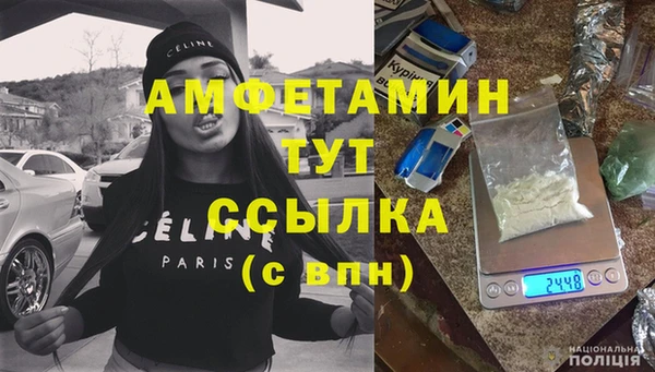 mdpv Вяземский