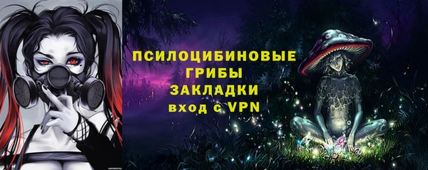 mdpv Вяземский