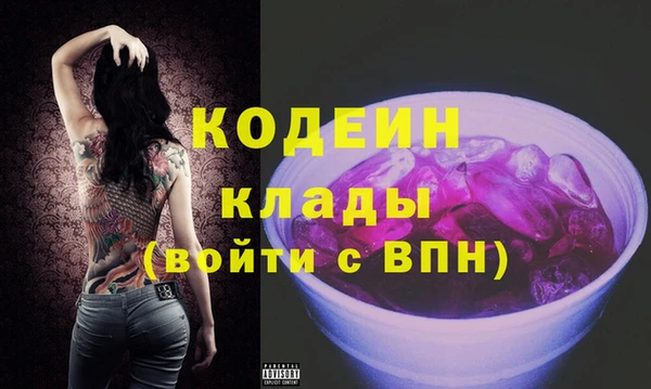 mdpv Вяземский