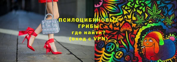 mdpv Вяземский