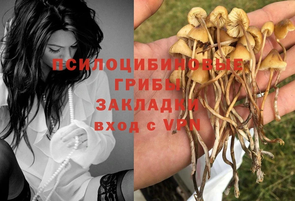 крисы Вязники