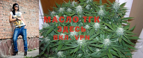 крисы Вязники