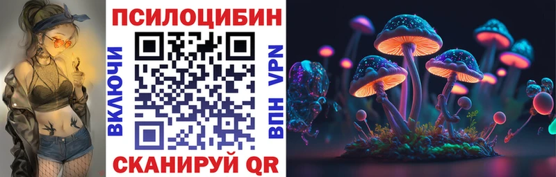 Купить где  Белоусово  Псилоцибиновые грибы Psilocybe 